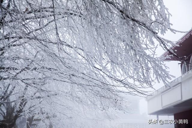 今年的天气会冷吗？气候趋势分析与预测_精准落实