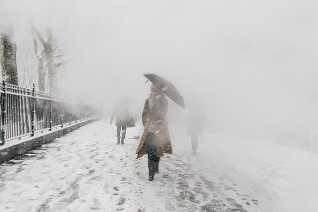 今年是不是冷冬？气候变化的深度解析_全面解答解释落实