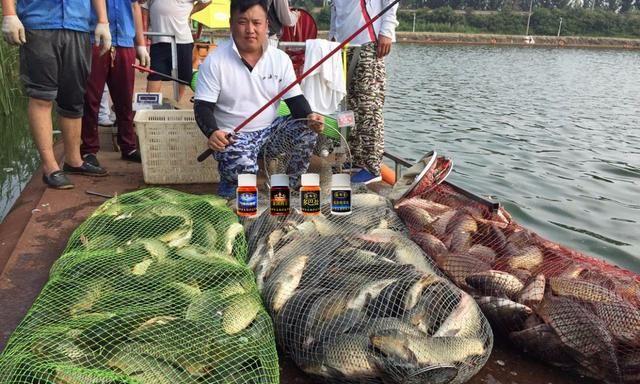 钓鱼钓出千亿元大市场，一个值得深入挖掘的市场机遇_权限解释落实