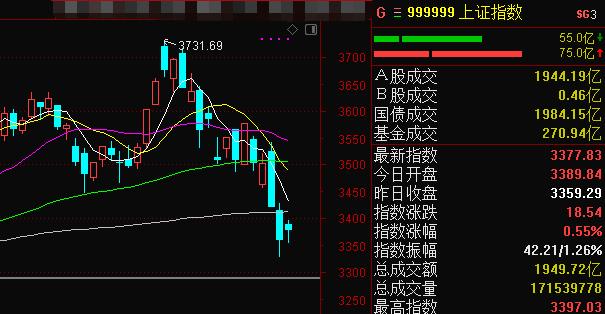 一、引言_解答解释落实