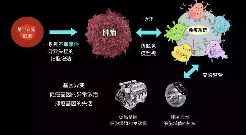 2024年12月10日 第4页