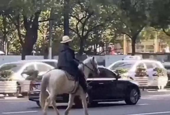 小马在商场中的特殊体验，供人骑行的奇妙之旅_动态词语解释