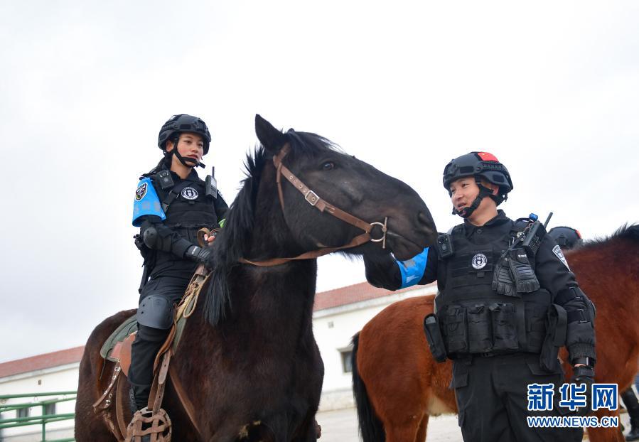 执勤骑警神似贾静雯，美丽与力量并存_解答解释