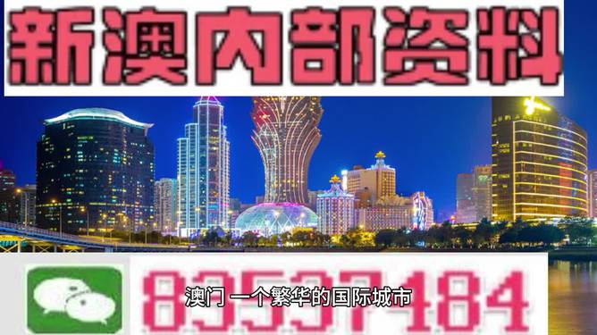 新澳免费资料精准大全,权威解释_豪华款90.242