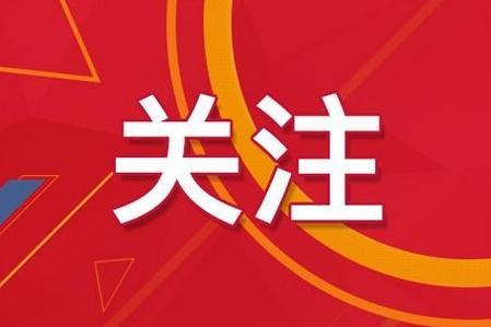 2024澳门精准正版图库,精密解答落实_网红版20.833