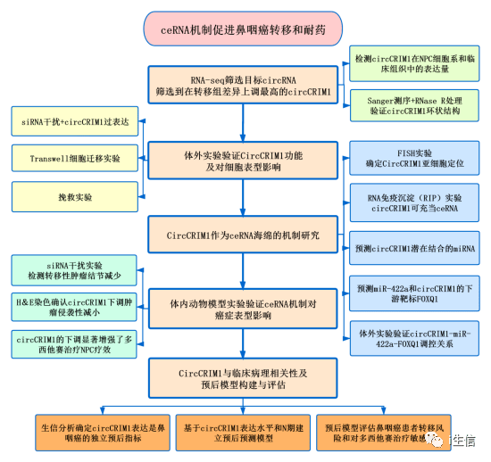 2024新澳门天天开奖免费资料,反馈机制和流程_tool53.738