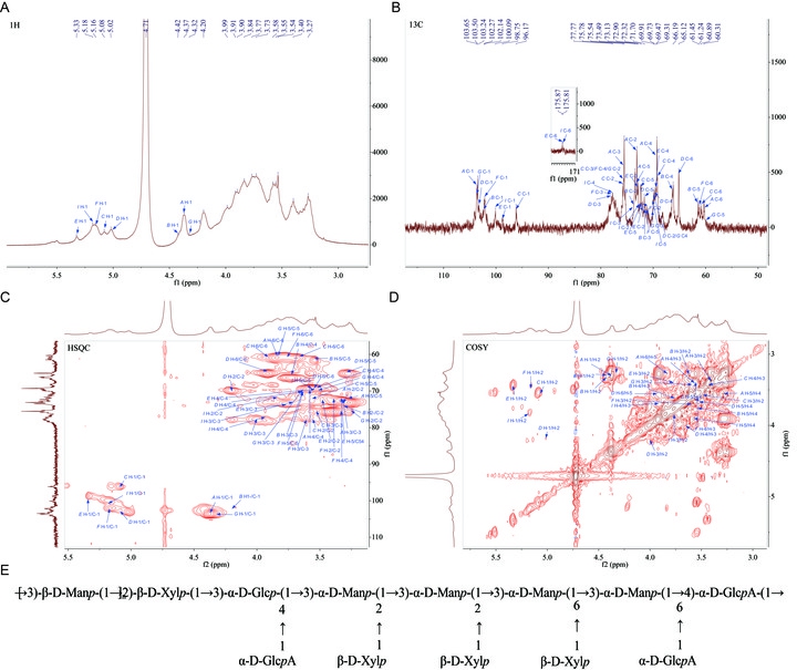 科学新证，粉木耳能延缓细胞衰老_全面解答落实