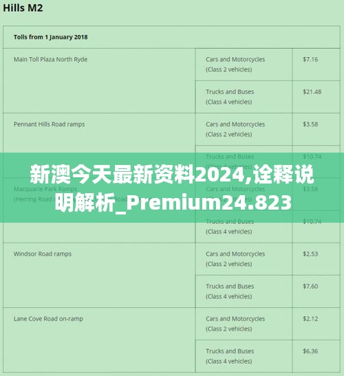 新澳2024最新资料24码,词语解释_S45.785