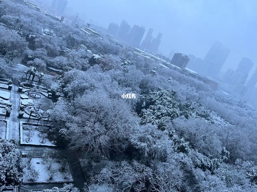 武汉的雪景，冬日里的独特韵味