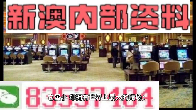 2024新澳正版免费资料大全——挑战与机遇怎么写