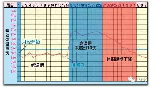 发烧，人体自带的体温调节系统揭秘