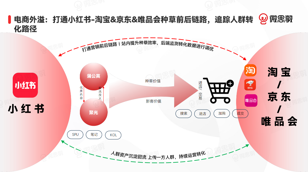 小红书概念爆发