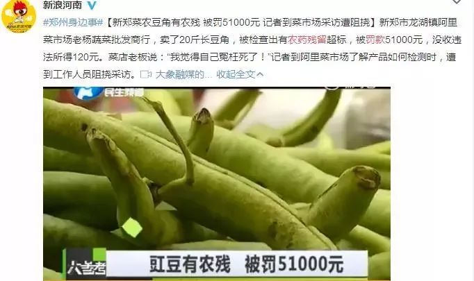 农药残留超标罚单达3100元，农业安全需严格监管