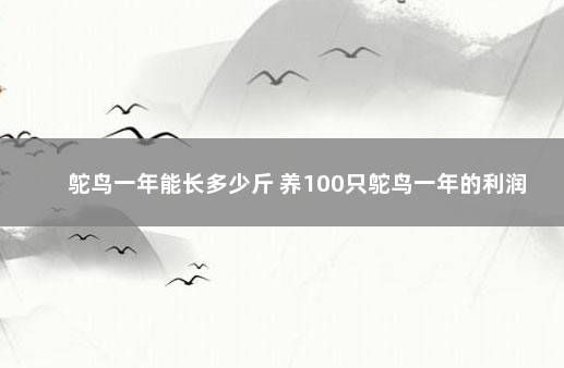 养100只鸵鸟做吃播，一场别开生面的美食冒险