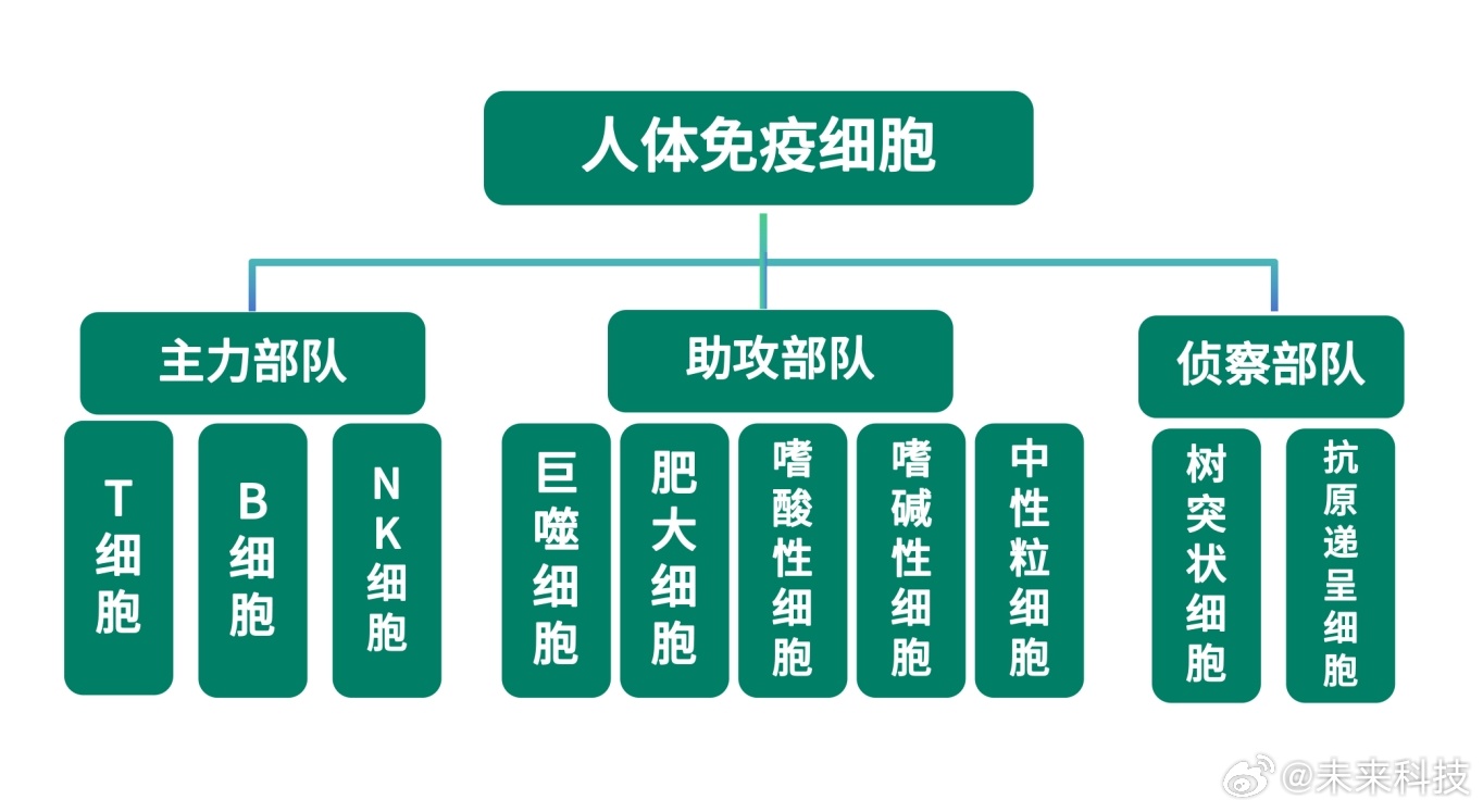 人体最大免疫器官，皮肤，竟然是它！