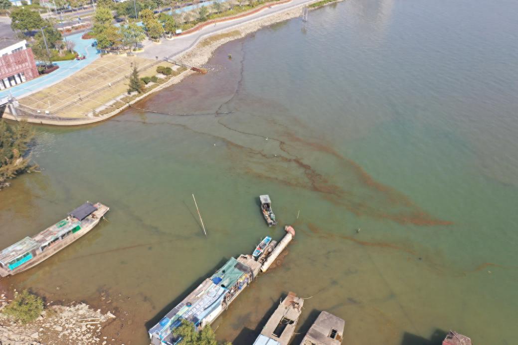 多地海边出现神秘爆爆珠，探秘海洋新现象