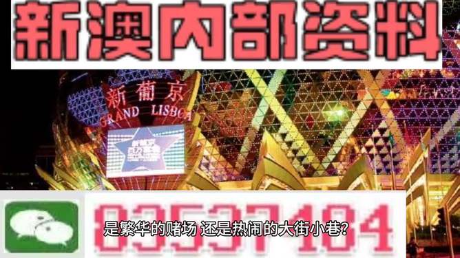 2024新澳精准资料免费——揭秘最新智慧的成语