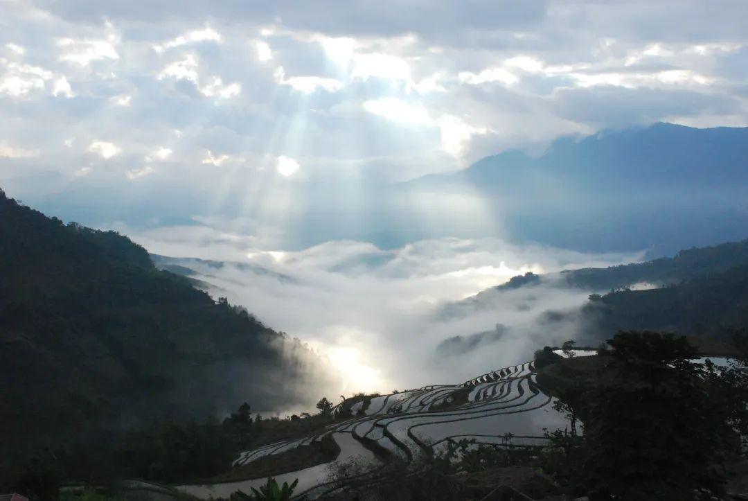 媒体谈大地之子雕塑遭踩踏，公众艺术素养与社会责任引热议