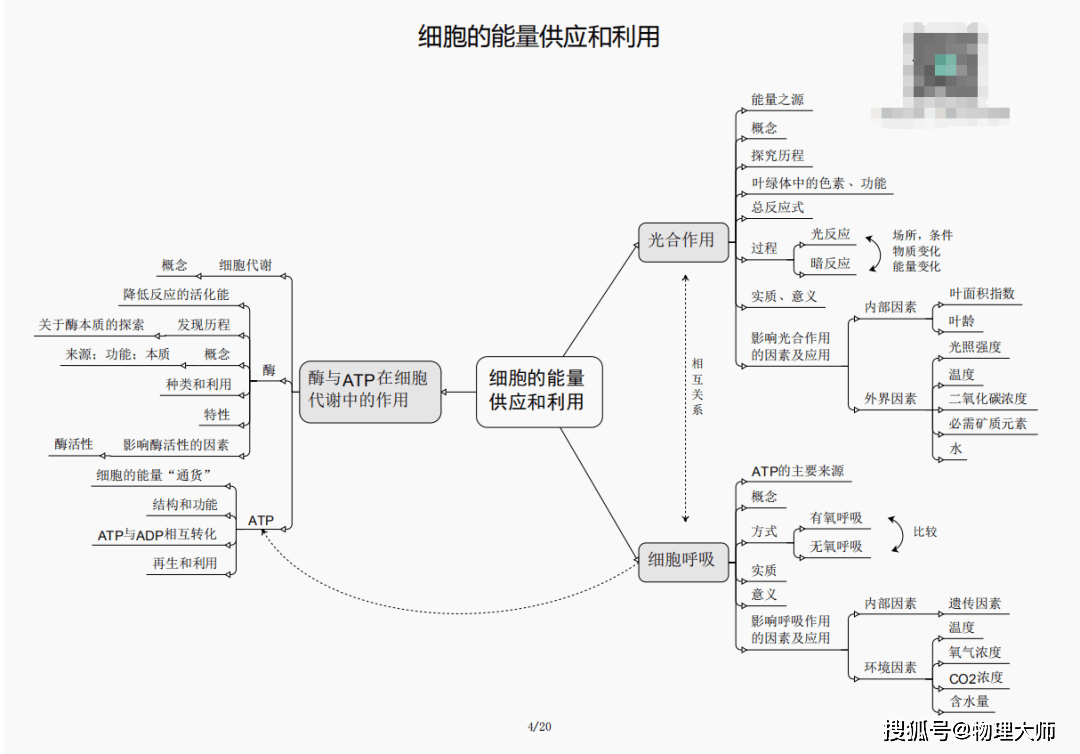 三肖必中三期必出资料——揭示幸运数字新趋势的成语有哪些