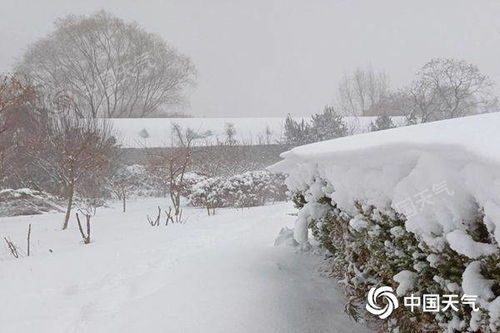 河南局地暴雪，影响与应对