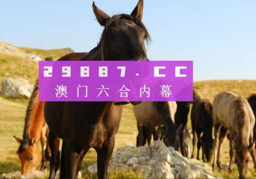 2024澳门管家婆一肖一码——在公园中享受自然，放松心情