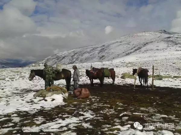 云南8岁女童雪山失踪5天，希望与绝望交织的漫长等待