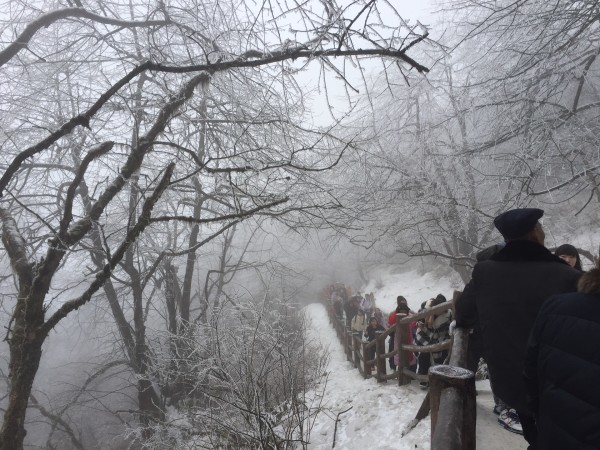 男子山上惊现现实版鹅毛大雪，绝美瞬间定格冬日魔法